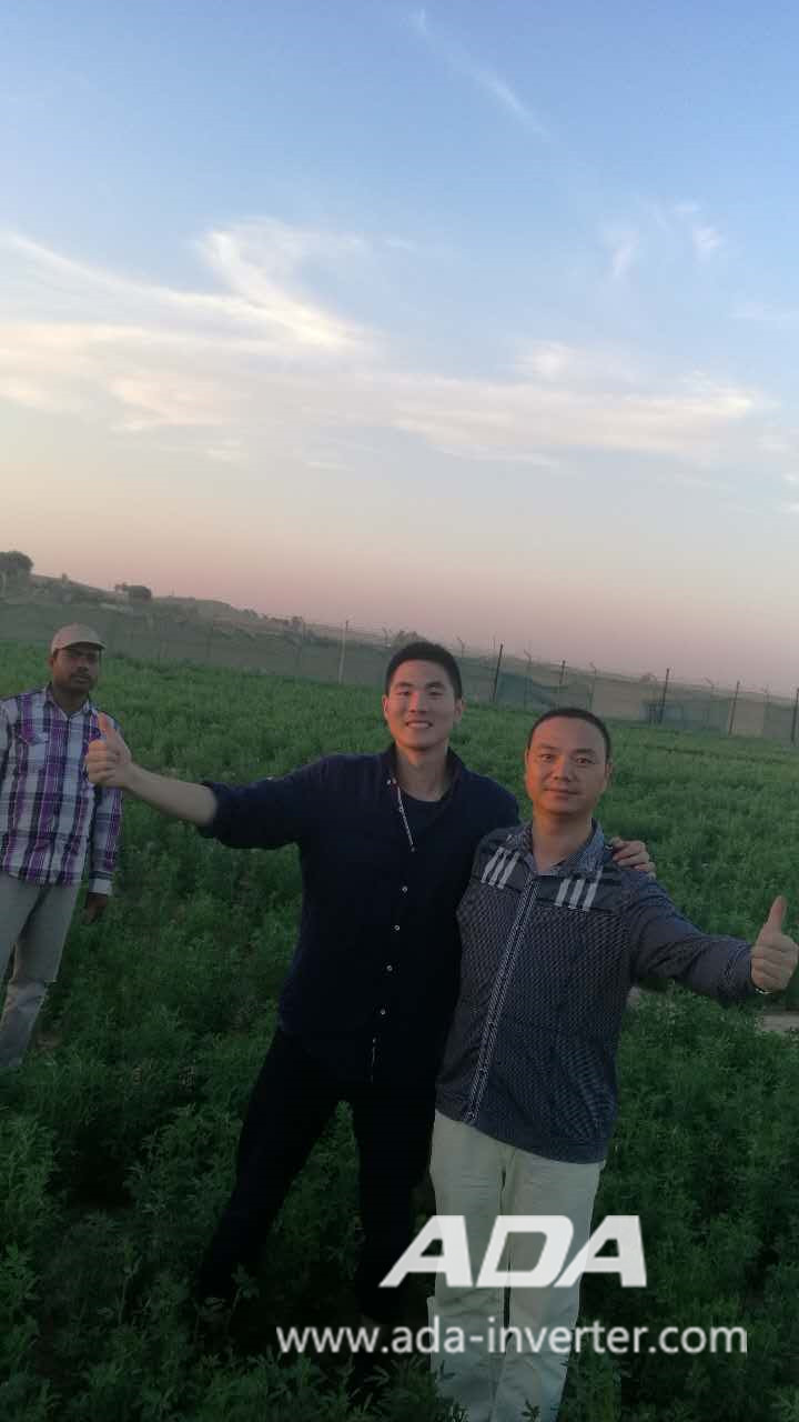 \